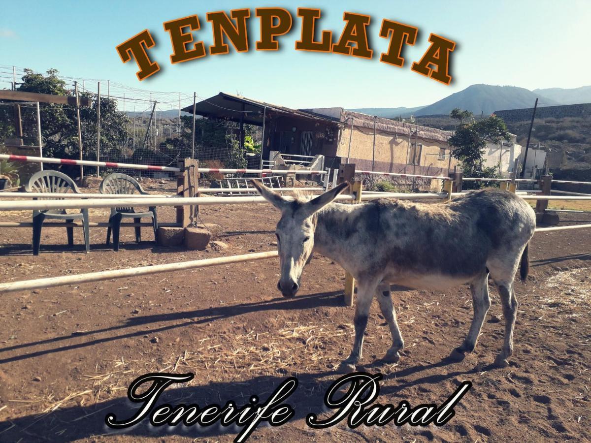 Tenplata Tijoco de Abajo Zewnętrze zdjęcie