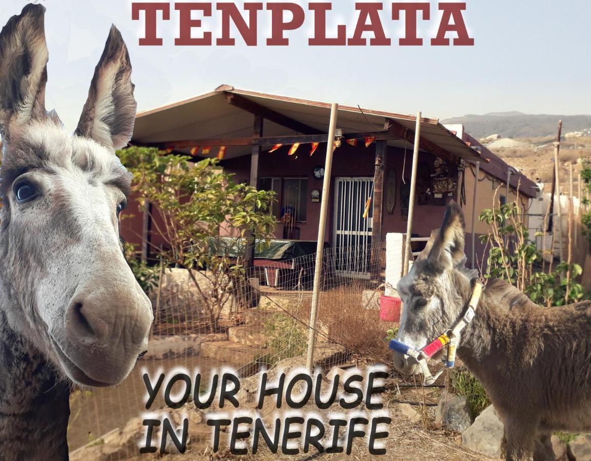 Tenplata Tijoco de Abajo Zewnętrze zdjęcie